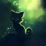 Avatar du membre